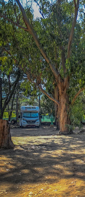 unsere Stellplätze für Gruppen in Calvi