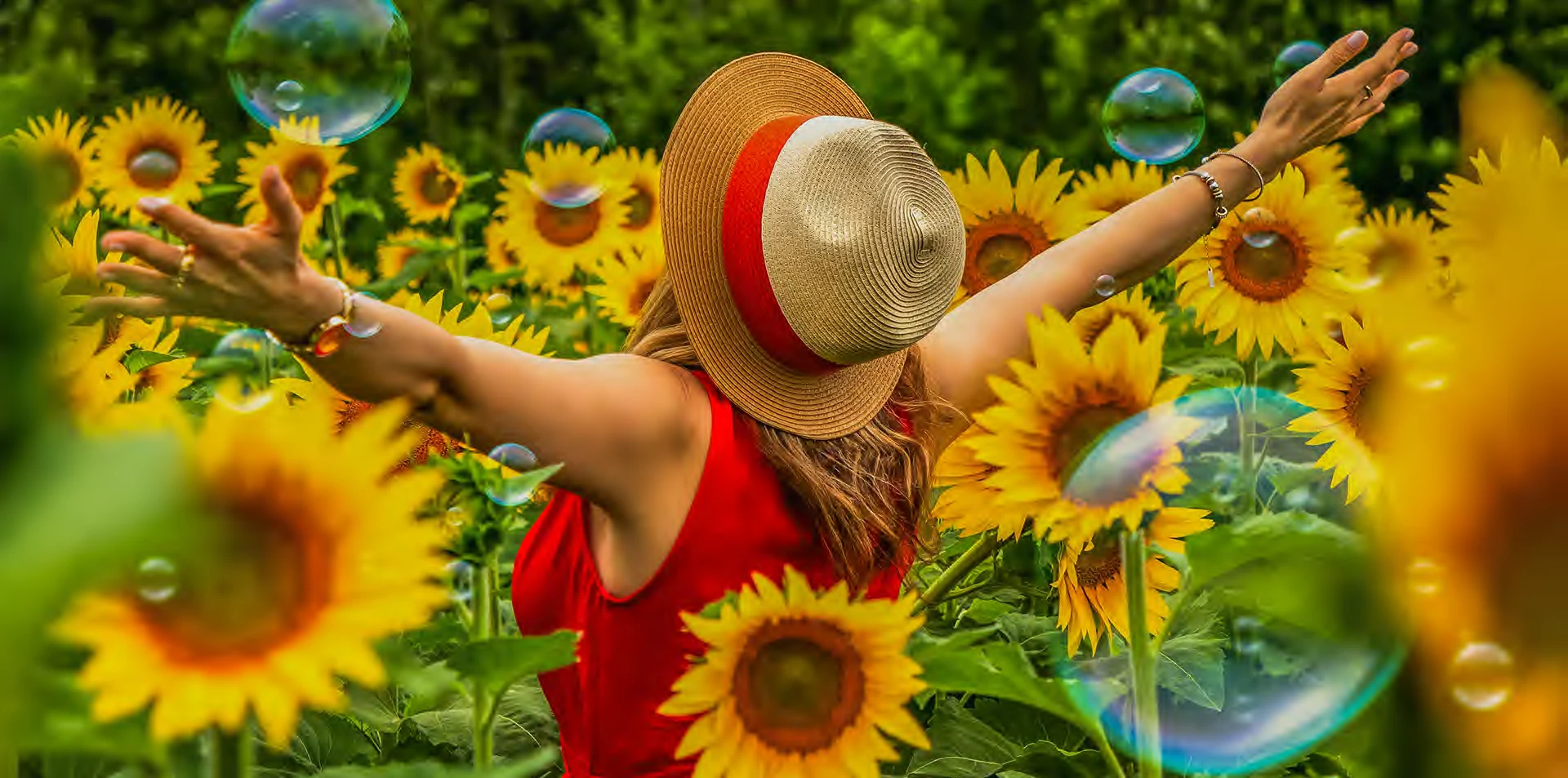 nos promotions au camping les castors a calvi