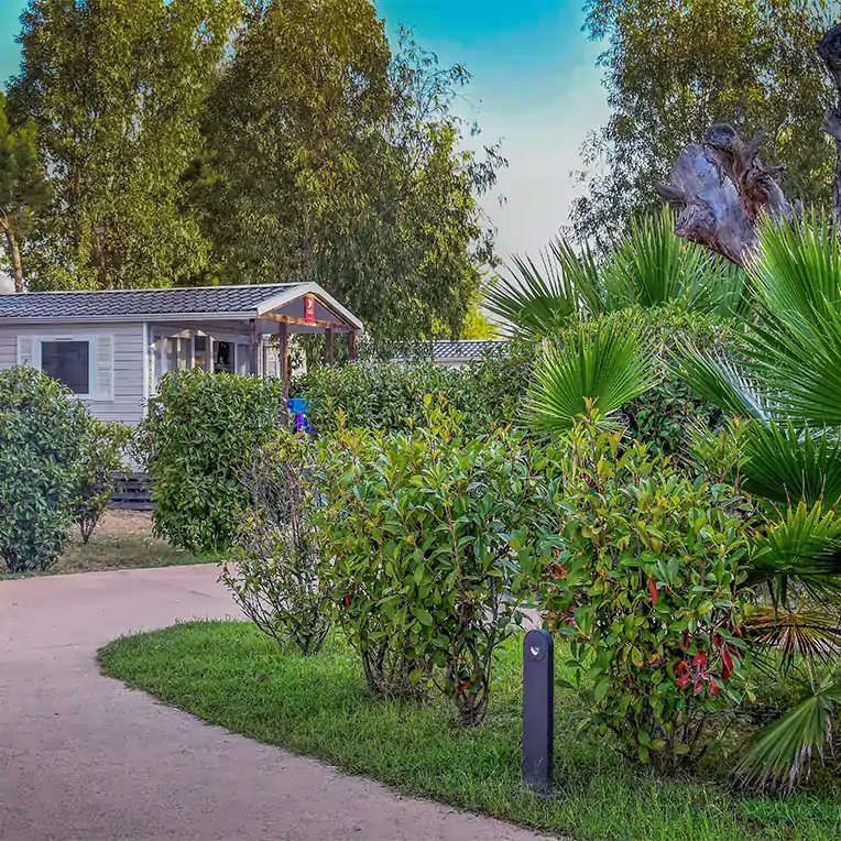 eine blühende und baumreiche Umgebung